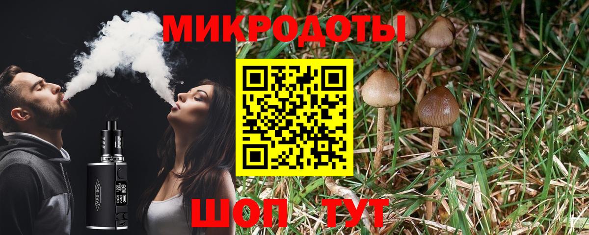 Галлюциногенные грибы ЛСД  Галлюциногенные грибы Magic Shrooms  Вышний Волочёк  Вход с VPN 